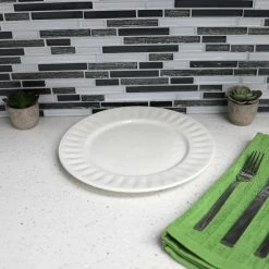 Brand new 🔔 Home Basics Embossed Circle 10.5" Ceramic Dinner Plate, White 🛒 -Home Basics Sales b913c9ca981f443ea7bcf6a5542c7512 1080x