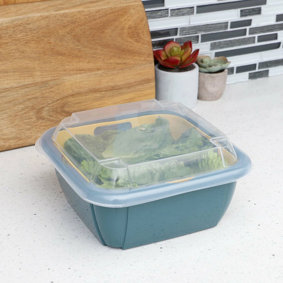 New 🎉 Home Basics Plastic Container with Strainer Basket and Clear Lid, Multi-Color ⭐ 4 New 🎉 Home Basics Plastic Container with Strainer Basket and Clear Lid, Multi-Color ⭐ - Image 2